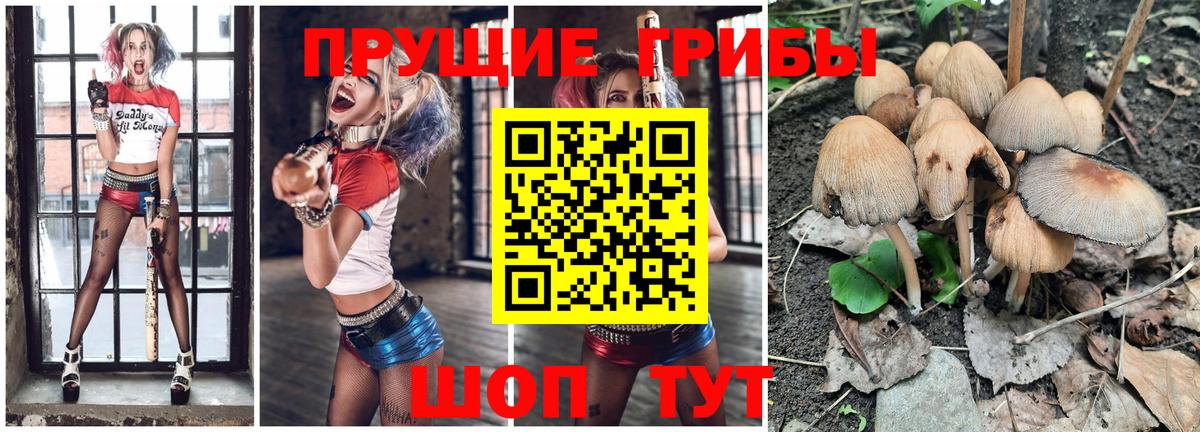 Галлюциногенные грибы мухоморы  Калининград 