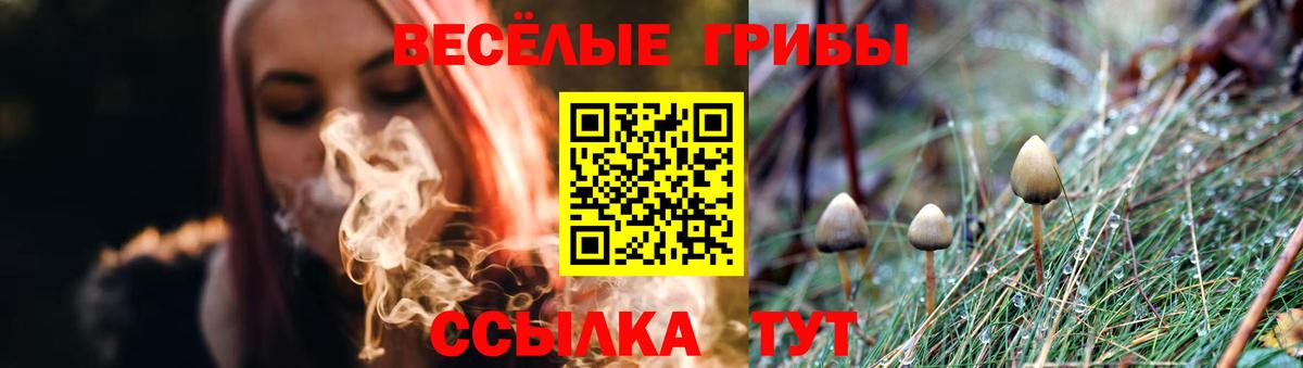 Галлюциногенные грибы Psilocybine cubensis  Псилоцибиновые грибы Psilocybine cubensis  Калининград  Вход с VPN 